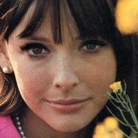 Brenda Scott Nahé