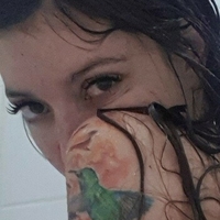 dreamnc Nahé