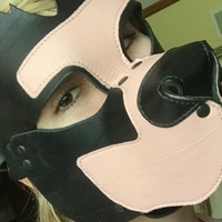 fox_anatomy Nahé